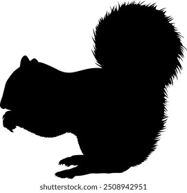 Vector image of a squirrel