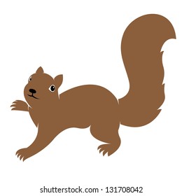 Vector image of an squirrel on white background