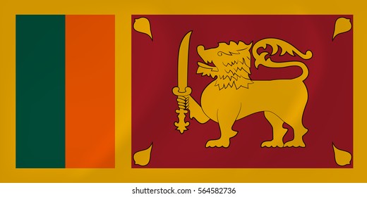 Vector image of the Sri Lanka waving flag