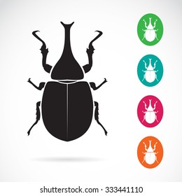 Vector image of stag beetle on white background