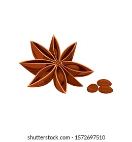 
Vector image of star anise on a white background. Christmas spices.