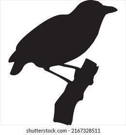 Vector, Image of starling silhouette, black and white color, with transparent background

