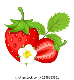 Vector image of strawberries. The concept of healthy food and fresh fruit. Juicy fruits, strawberry snacks, vegetarian dishes.