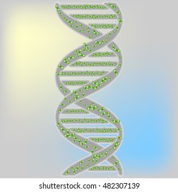 Vector image of the structure of DNA, graphic anatomy. molecule on a colored background.