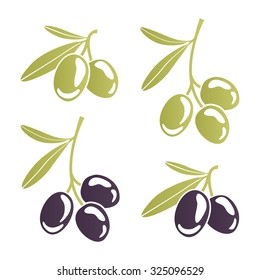 Vector image of stylized olive branches