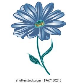 vector image of a stylized osteospermum flower in blue tones on a white background
