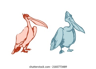 Vector image of stylized pelicans