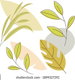 
vector image of summer flora plant with minimalistic style in pastel colors