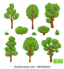 Vector image. Summer forest. A set of green trees. Trees cut from paper