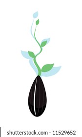 vector image of sunflower seed