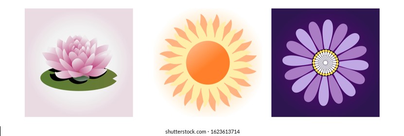 vector image of sunflower, water lily and purple flowers