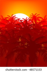 Vector image of the sunset in tropics. Silhouette of palm forest