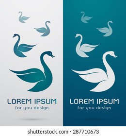 Vector image of an swan design on white background and blue background, Logo, Symbol