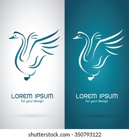 Vector image of an swan design on white background and blue background, Logo, Symbol, Animals 