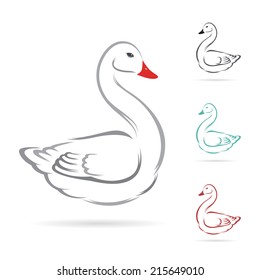 Vector image of swan on a white background.
