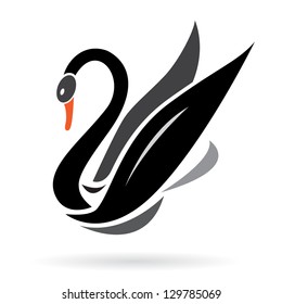 Vector image of swans on a white background.