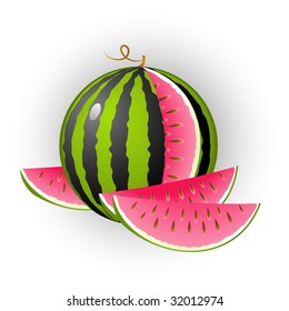 Vector image of sweet juicy watermelon! Isolated on white