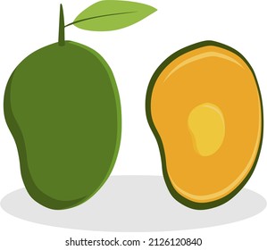 vector image of sweet magga plucked from a tree