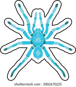 Vektorbild einer Spinne aus Tarantula in freier Färbung. 