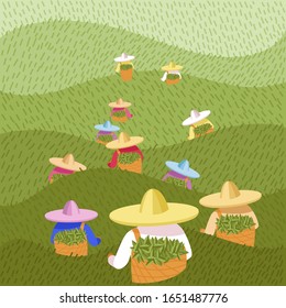 vector image of tea pickers. people in colored hats and colored clothes with baskets of leaves