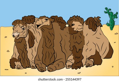 The vector image of three camels against the desert.