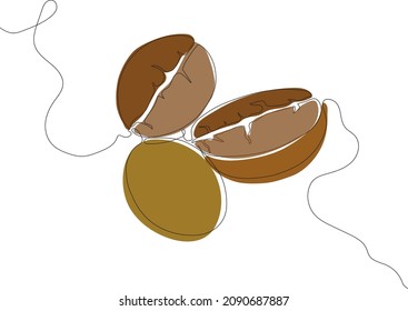 Vector image of the three coffee beans isolated on the white background in the technic one line art.