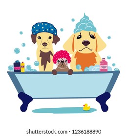 Vector image of three cute dogs in a bubble bath. Hand drawn vector pet care illustration