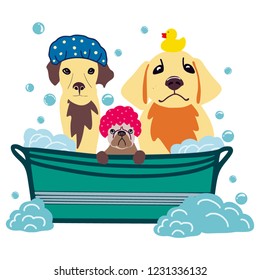 Vector image of three dogs sitting in a bath with foam and soap bubbles. Hand drawn pet care illustration