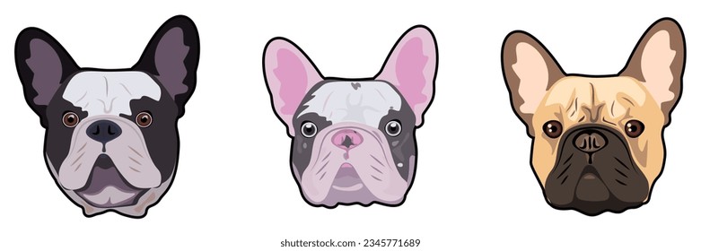 Vector image of three faces of French bulldogs with different colours, outlined with a black line on a white background.