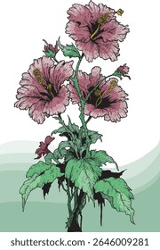 Imagem vetorial de três flores de hibisco com hastes verdes, perfeito para complementar desenhos com temas florais ou botânicos.
