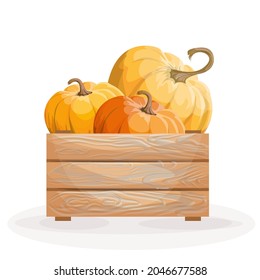 Vector image of three pumpkins in a box Isolated on white background. Concept. Vegetable. Cartoon. EPS 10