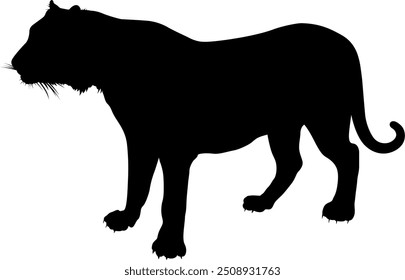 Vector image of a tiger