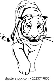 Vector image of a tiger. Symbol of the year 2021.
