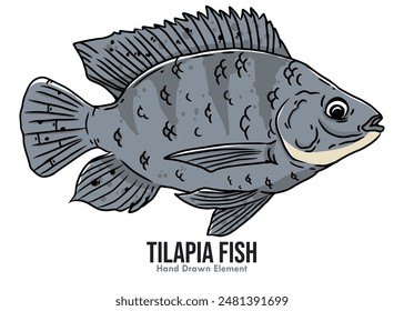 Imagen de Vector de un pez tilapia con el color sobre un fondo blanco