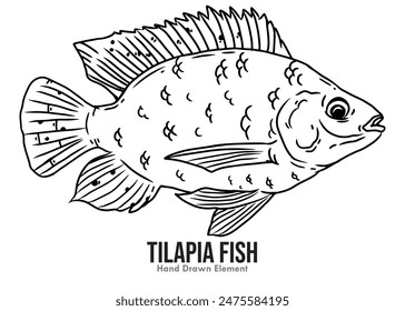Imagen de Vector de pescado de tilapia en arte de línea de tinta sobre un fondo blanco.