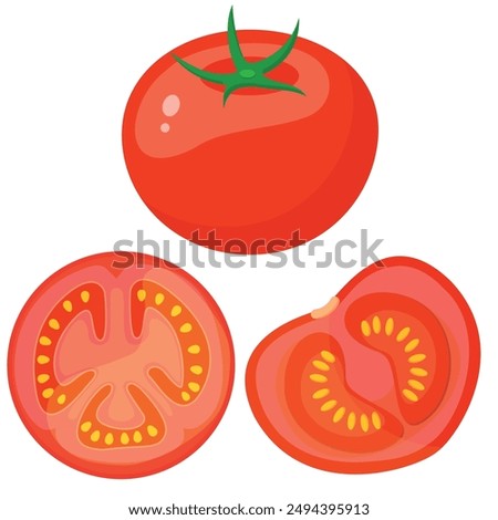 Vector image of tomato. Food concept. Element for your design. Ingredient for cooking.