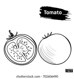 Vector image. Tomato outline black and white in hand drawing style. Outline sketch of a vegetable