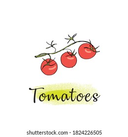 Vector image of tomatoes on a branch. Isolated on a white background.