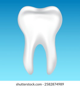 Vector image of a tooth. Anatomy of a tooth close-up. Concept of studying the structure of a human tooth. Medical illustration for scientific articles, etc. Element for your design