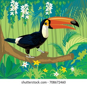 Vector image of an Toucan bird sitting on branch in tropical forest