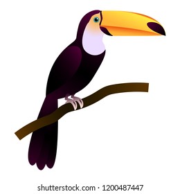 Vector image of a toucan sitting on a branch.