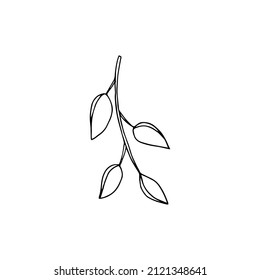 Vector image of a tree branch with four pointed leaves on a transparent background. Clip art hand drawn.