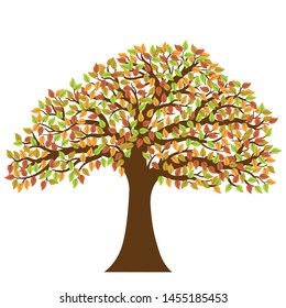 Vector image of tree with colorful autumn leaves