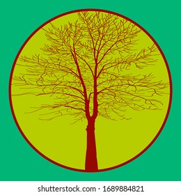 Vector image of a tree. For decorating and decorating in a natural style. Protect nature and save trees. Beautiful natural wood.