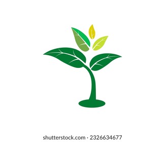Vector image of a tree with green and yellowing leaves