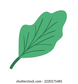vector image of a tree leaf icon with a white background