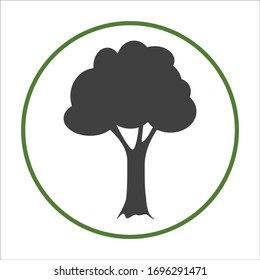 vector image of a tree on white isolate