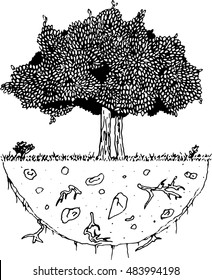 Vector image of a tree with roots on a piece of land, clean environment concept.  Tree with foliage. Vector illustration of a tree with spring foliage. Hand drawn doodle deciduous tree.