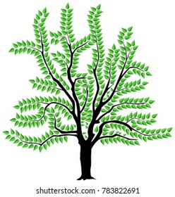 vector image of a tree in spring
