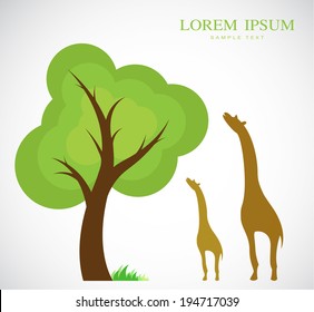 Vector image of trees and giraffes on white background